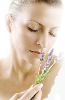 Woman and Lavender